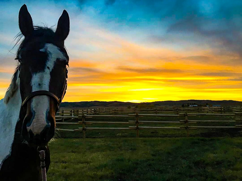 Nordic Farms | 144135 370 Ave W, AB T0L 0H0, Canada | Phone: (403) 813-8779