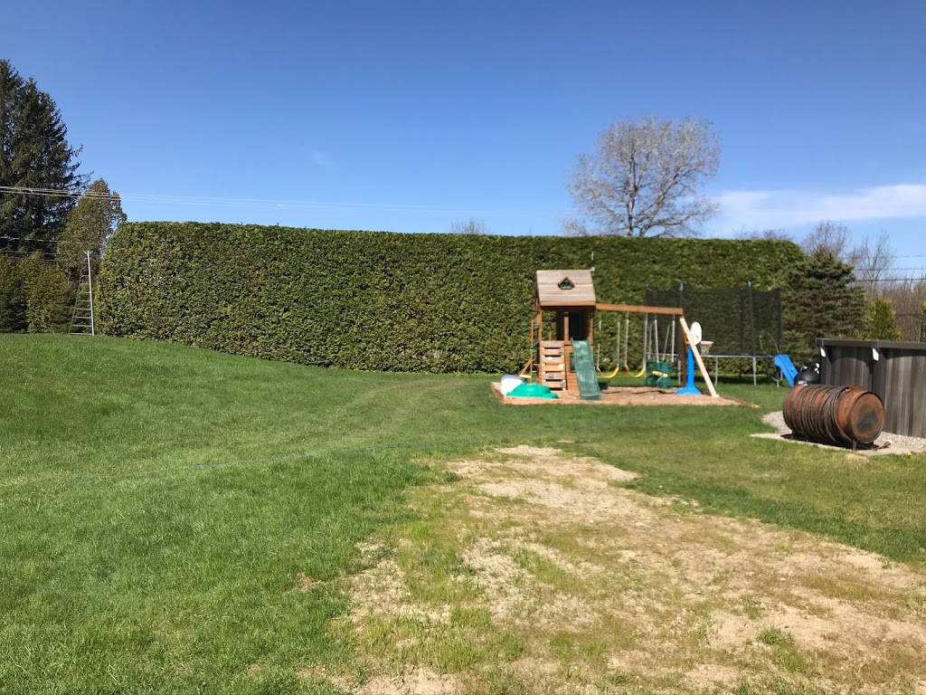 Taillage de haies Miguel Bedard | 3522 Chemin de North Hatley, Sherbrooke, QC J1N 0E5, Canada | Phone: (819) 437-8527