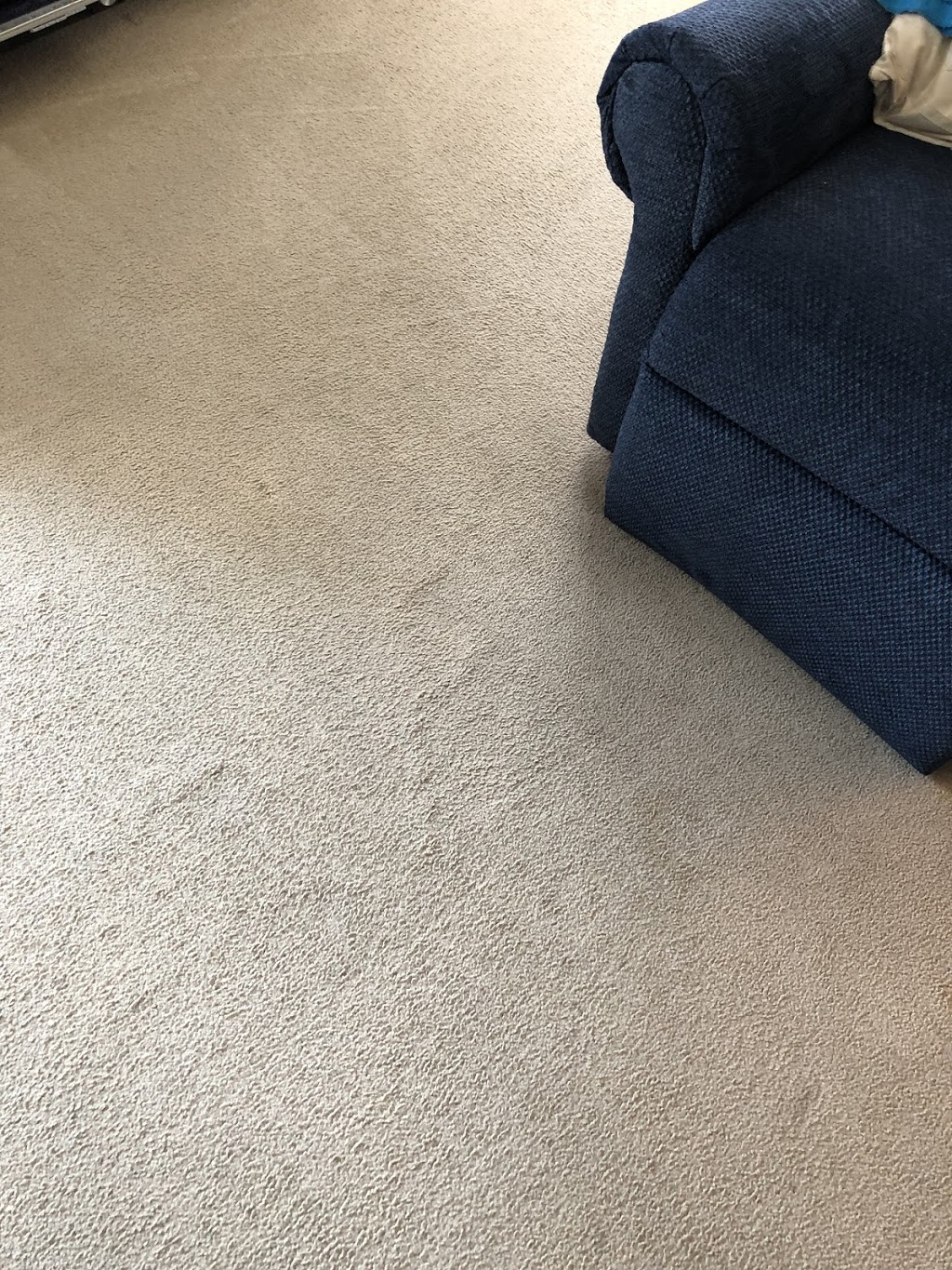 Go Green Cleaning | 152 Thicketwood Dr, Scarborough, ON M1J 2A3, Canada | Phone: (416) 820-9162