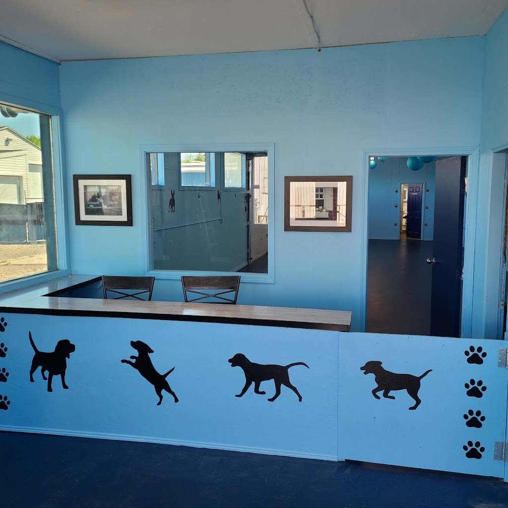 Gardierie Dieppe Doggy Daycare | 675 Babin St, Dieppe, NB E1A 5M7, Canada | Phone: (506) 381-0099
