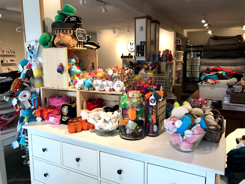 Doodle Dogs Inc | 3b Parkdale Crescent NW, Calgary, AB T2N 3T8, Canada | Phone: (587) 349-3647