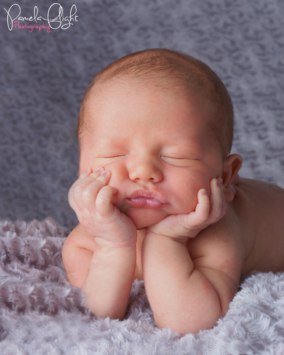Pamela Flight Photography | 17895 Warden Ave, Sharon, ON L0G 1V0, Canada | Phone: (416) 556-4981