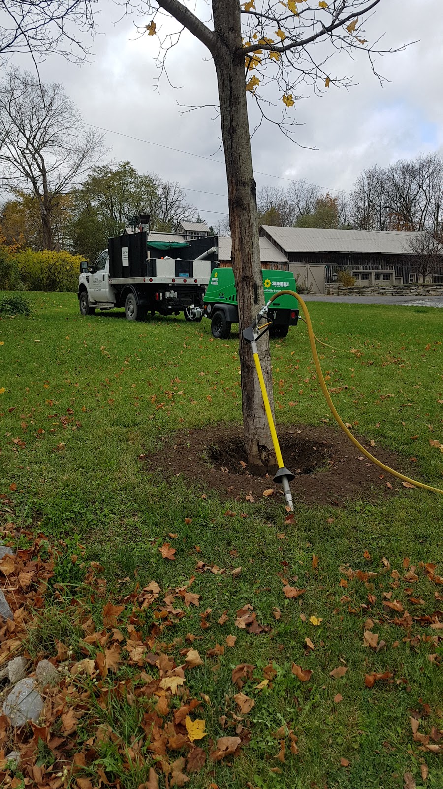 Weese Tree Preservation and Weese Nurseries | 541A S Shore Rd, Napanee, ON K7R 3K7, Canada | Phone: (613) 352-5988
