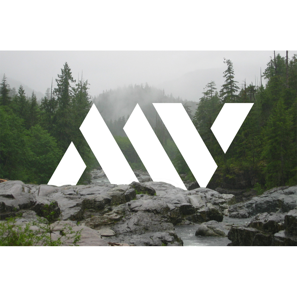 Mass Velocity Media | 227 Beechwood Ave, Victoria, BC V8S 3W6, Canada | Phone: (778) 587-7190
