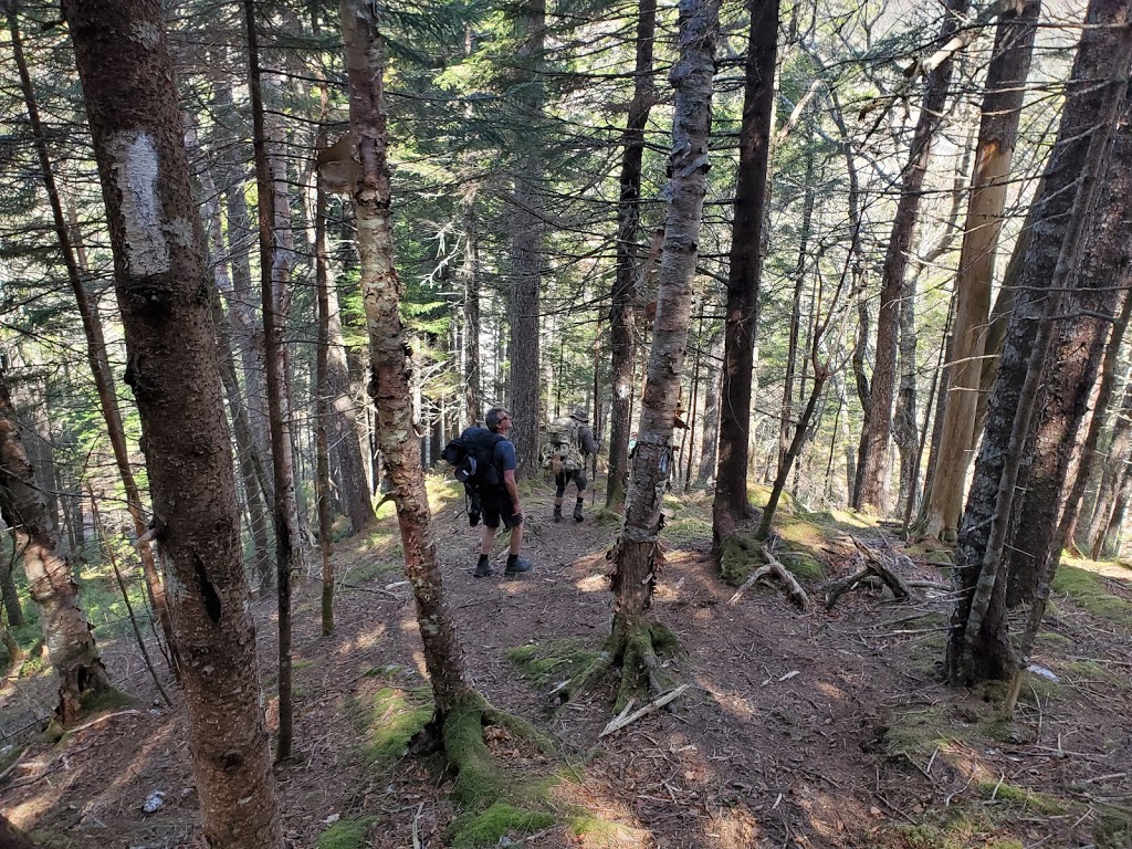 Fundy Trail Parkway | 3 Fundy Trail Pkwy, Salmon River, NB E5R 0B3, Canada | Phone: (506) 833-2019