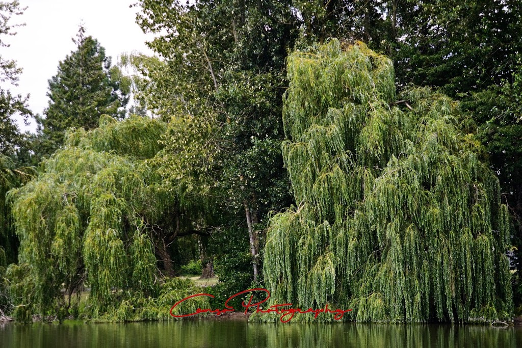 Sardis Park | 45935 Collins Dr, Chilliwack, BC V2R 2E1, Canada
