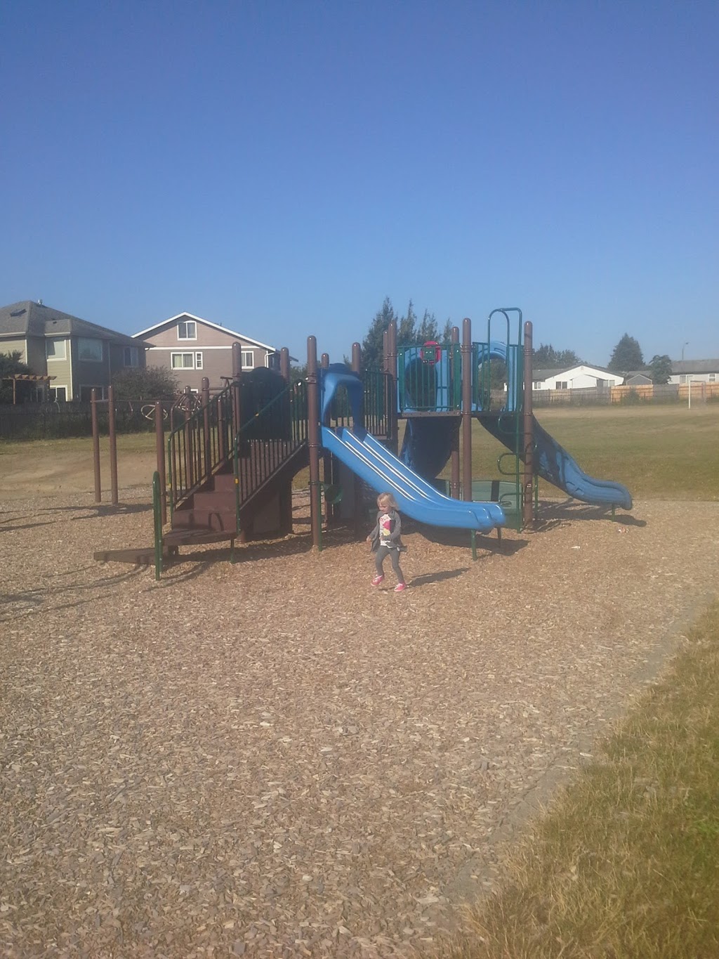 Cascadia Elementary School | 6175 Church Rd, Ferndale, WA 98248, USA | Phone: (360) 383-2300