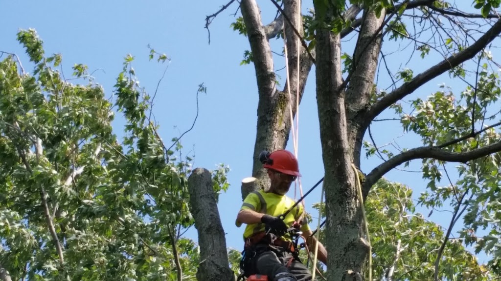 Marlee Niagara Contractors | 14 Springhead Gardens, Welland, ON L3C 5A8, Canada | Phone: (905) 734-6955