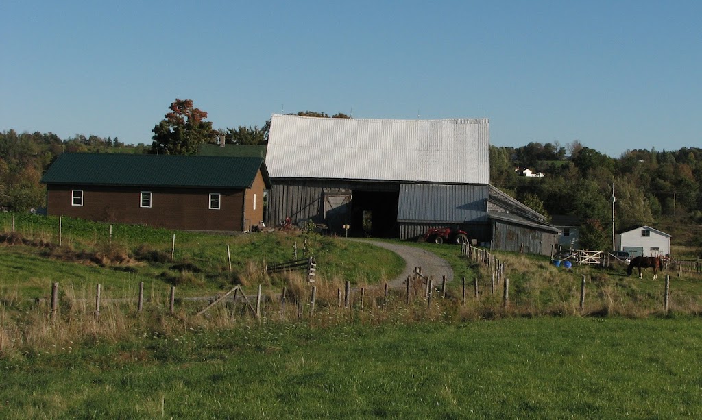 Howard Dill Enterprises | 400 College Rd, Windsor, NS B0N 2T0, Canada | Phone: (902) 798-2728
