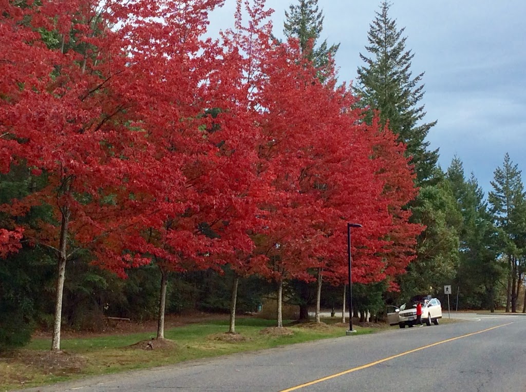 Beban Park Playground | Nanaimo, BC V9T 3K7, Canada | Phone: (250) 756-5200