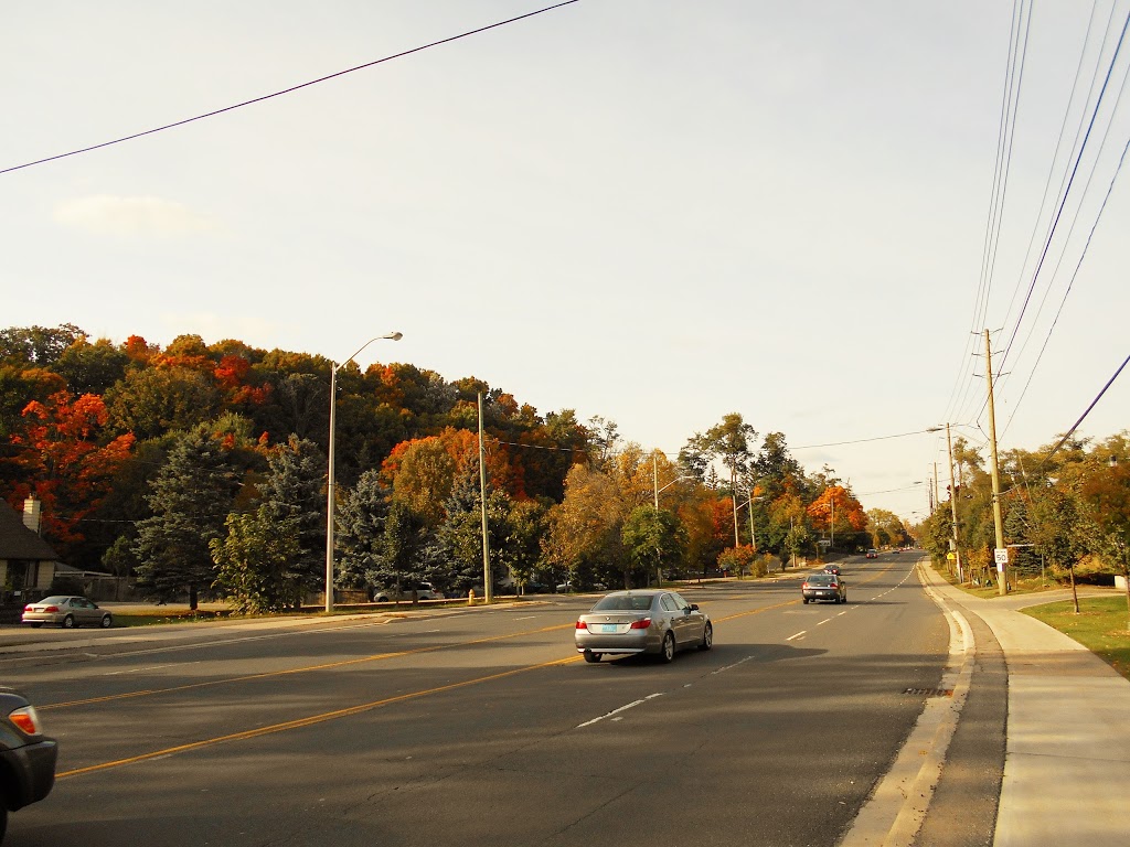 Maxey Park | 181 Willis Rd, Vaughan, ON L4L, Canada
