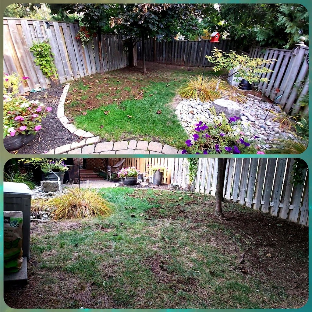 Green King Landscaping All Year Long | 28 Wiltshire Blvd, Welland, ON L3C 3K9, Canada | Phone: (289) 440-4909