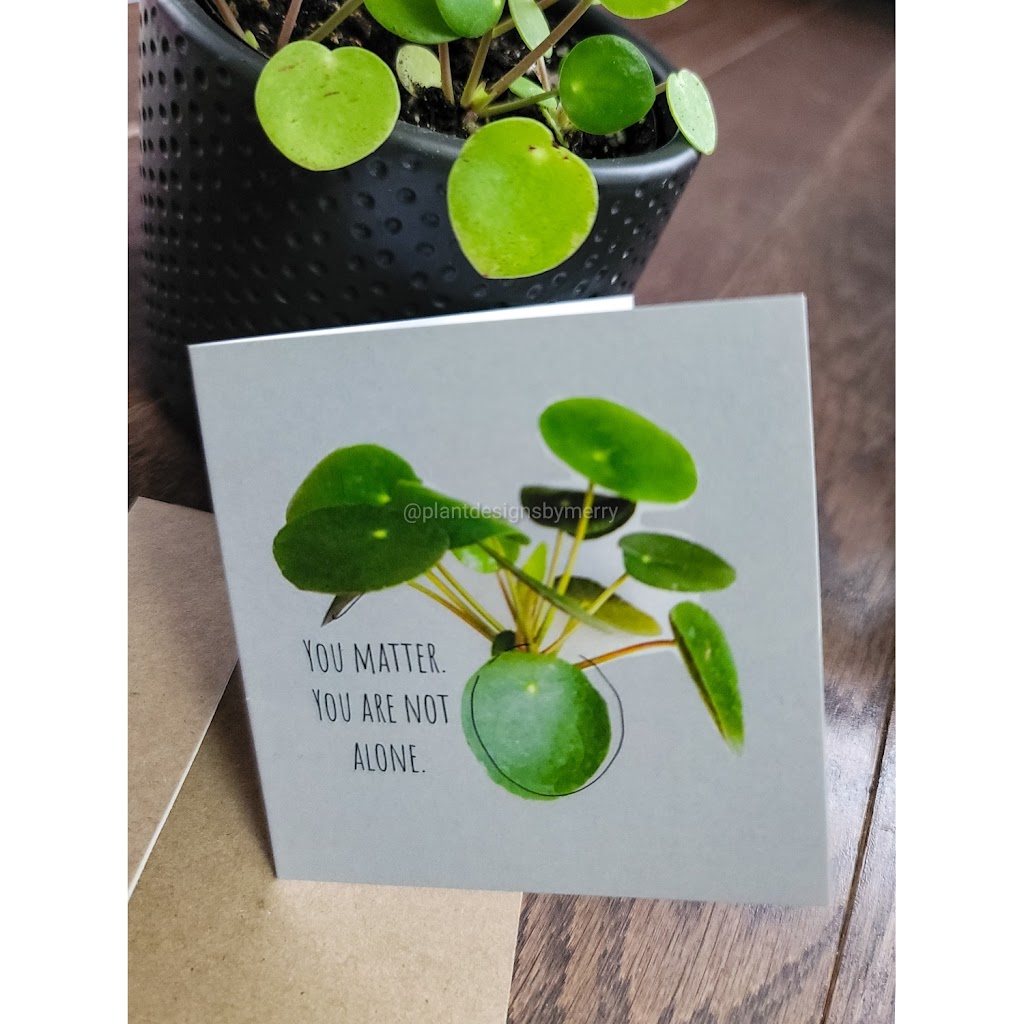 Plant Designs by Merry | 2093 Bur Oak Ave, Markham, ON L6E 0C5, Canada | Phone: (416) 648-5956