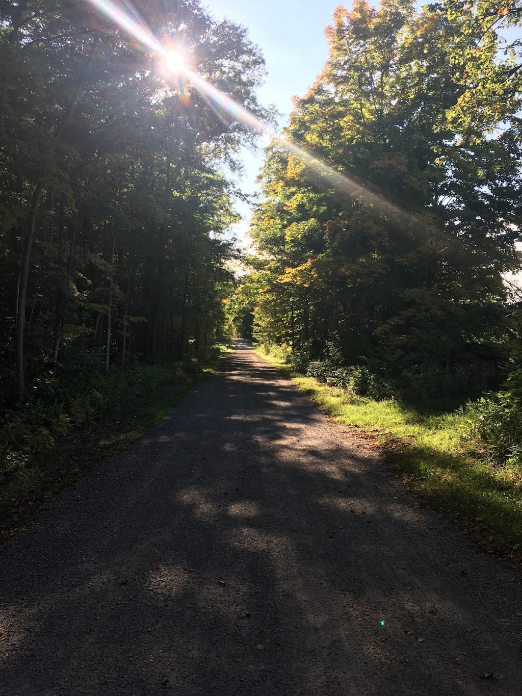 Country Bee Hives Inc | 836 Huff Rd, Marmora, ON K0K 2M0, Canada | Phone: (647) 704-0973