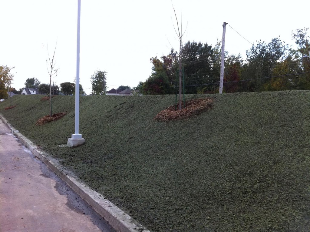 BELAMEX | 641 Des 30 Rang, Saint-Marc-sur-Richelieu, QC J0L 2E0, Canada | Phone: (450) 584-3343