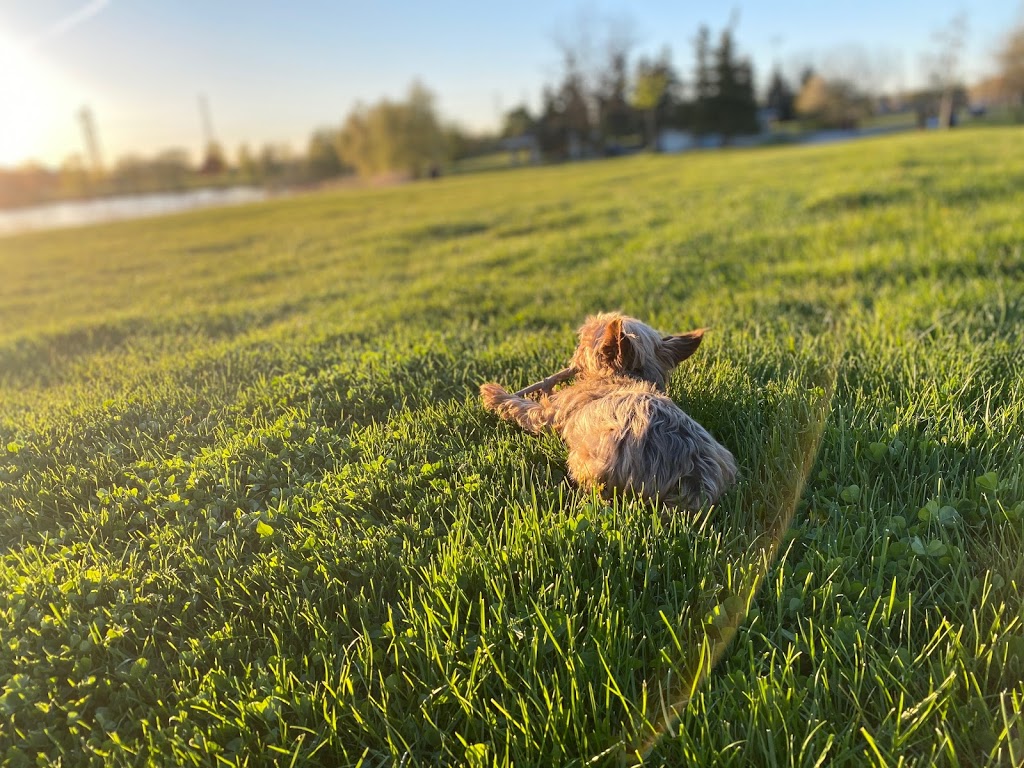 Bristol Veterinary Hospital | 1525 Bristol Rd W #2, Mississauga, ON L5M 4Z1, Canada | Phone: (905) 858-5959