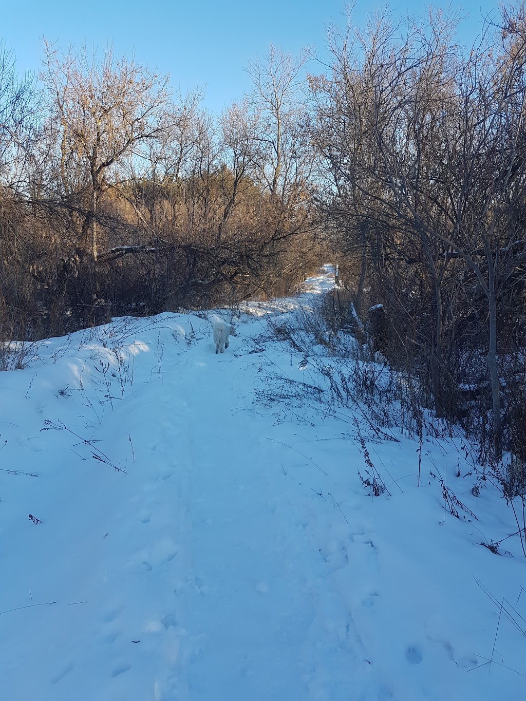 Nashville Conservation Reserve | Humber Valley Heritage Trail, Vaughan, ON L0J 1C0, Canada | Phone: (416) 661-6600