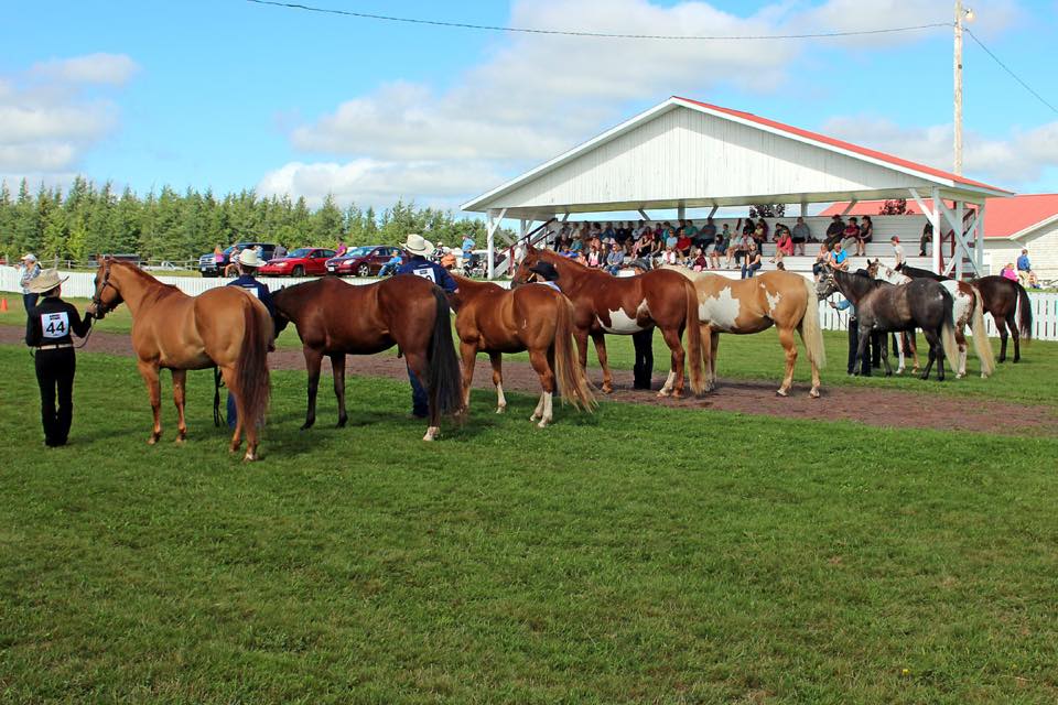 Dundas Plowing Match and Agricultural Fair Grounds | 260 Little River Rd, Dundas, PE C0A 1G0, Canada | Phone: (902) 583-2723