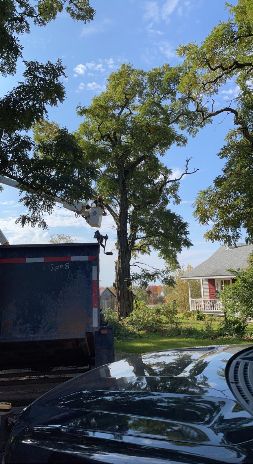 Treegenics | 4654 NB-105, Jemseg, NB E4C 3X7, Canada | Phone: (506) 260-7510
