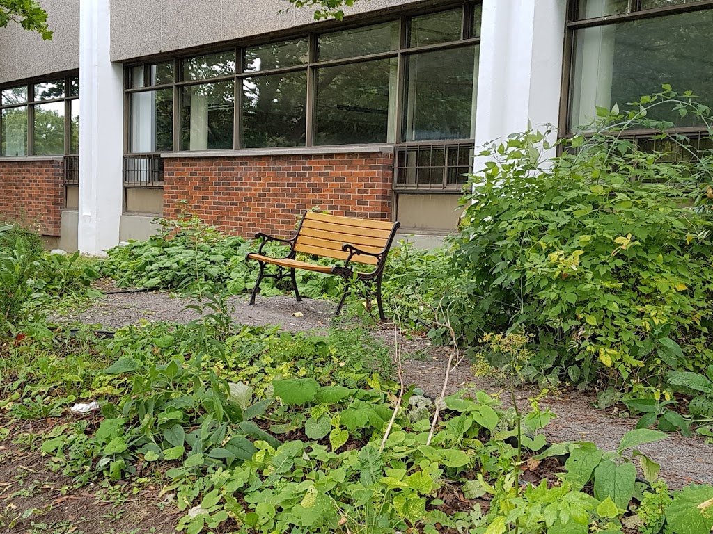 Centre Gabrielle-et-Marcel-Lapalme | 5350 Rue Lafond, Montréal, QC H1X 2X2, Canada | Phone: (514) 524-1797