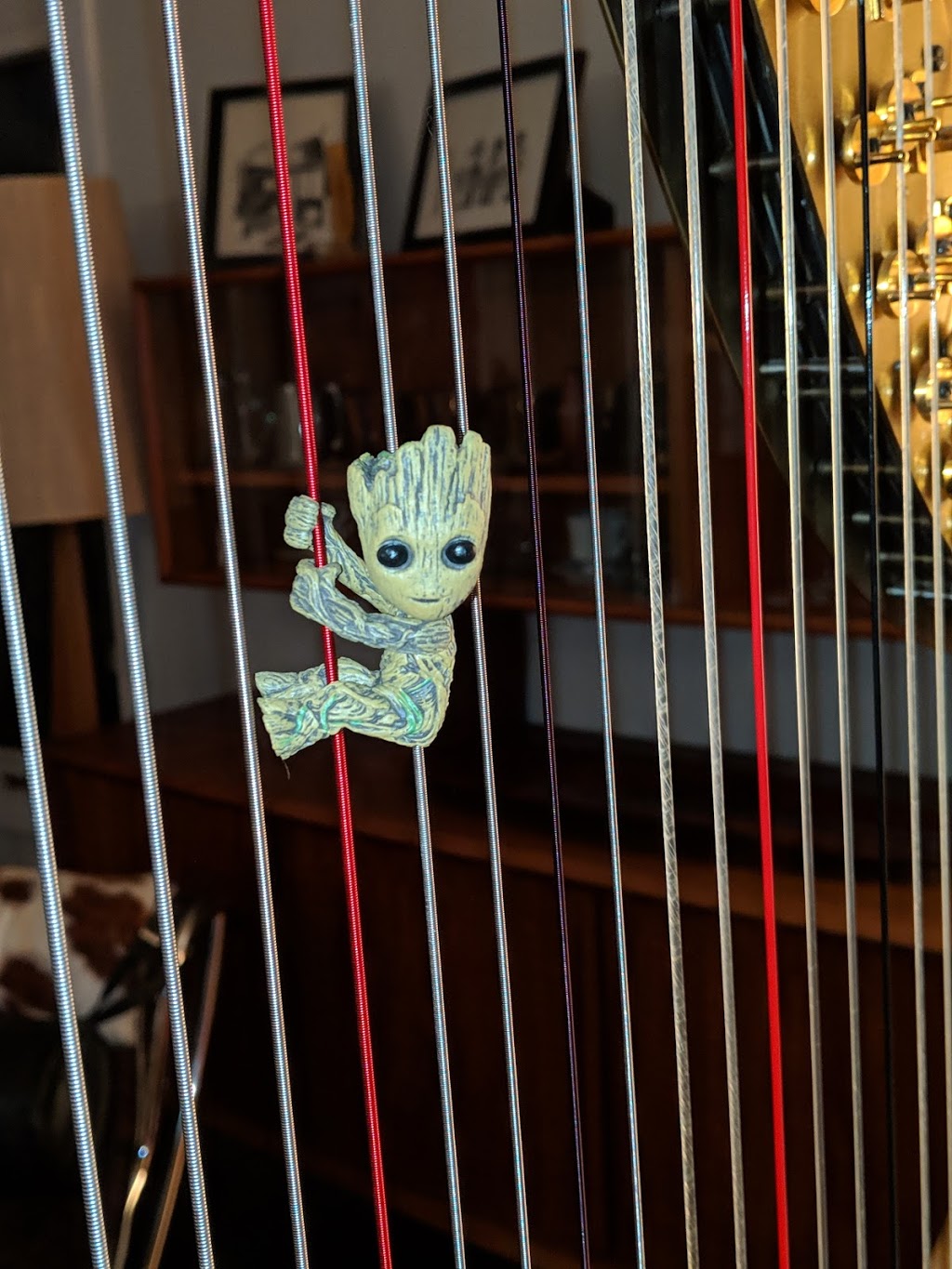 Caroline Léonardelli Harpist | 2149 Alta Vista Dr, Ottawa, ON K1H 7L7, Canada | Phone: (613) 296-4405