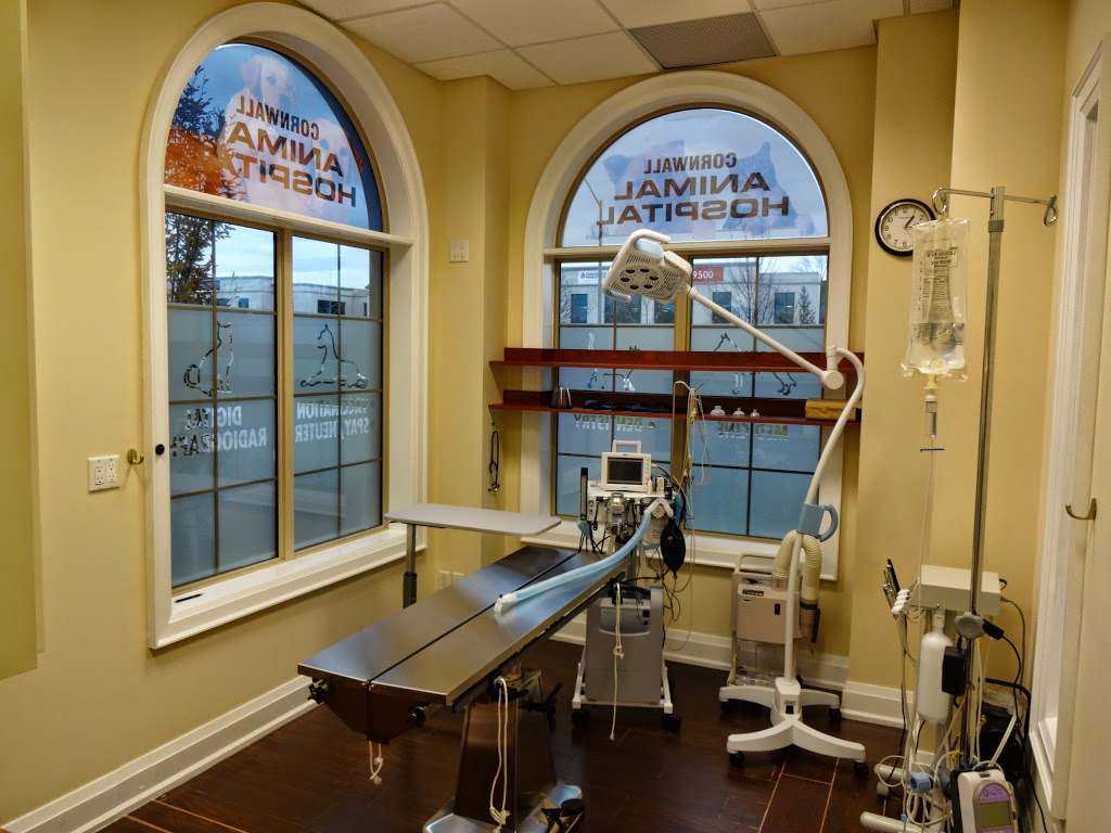 Cornwall Animal Hospital | 1495 Cornwall Rd #36, Oakville, ON L6J 0B2, Canada | Phone: (905) 842-8800