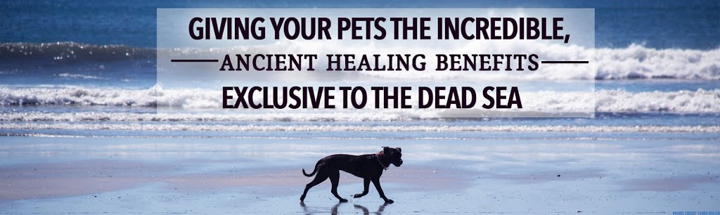 Soos Pets | 55 Administration Rd #10, Concord, ON L4K 4G9, Canada | Phone: (844) 766-7738