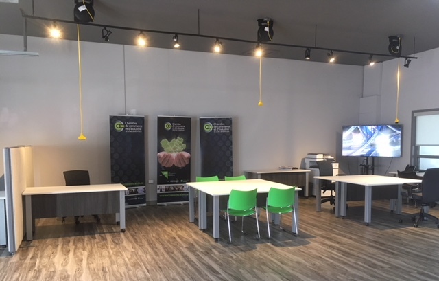 Le Loft de lentrepreneur | 197 Rue Industrielle, Saint-Lin - Laurentides, QC J5M 2S9, Canada | Phone: (450) 839-9218