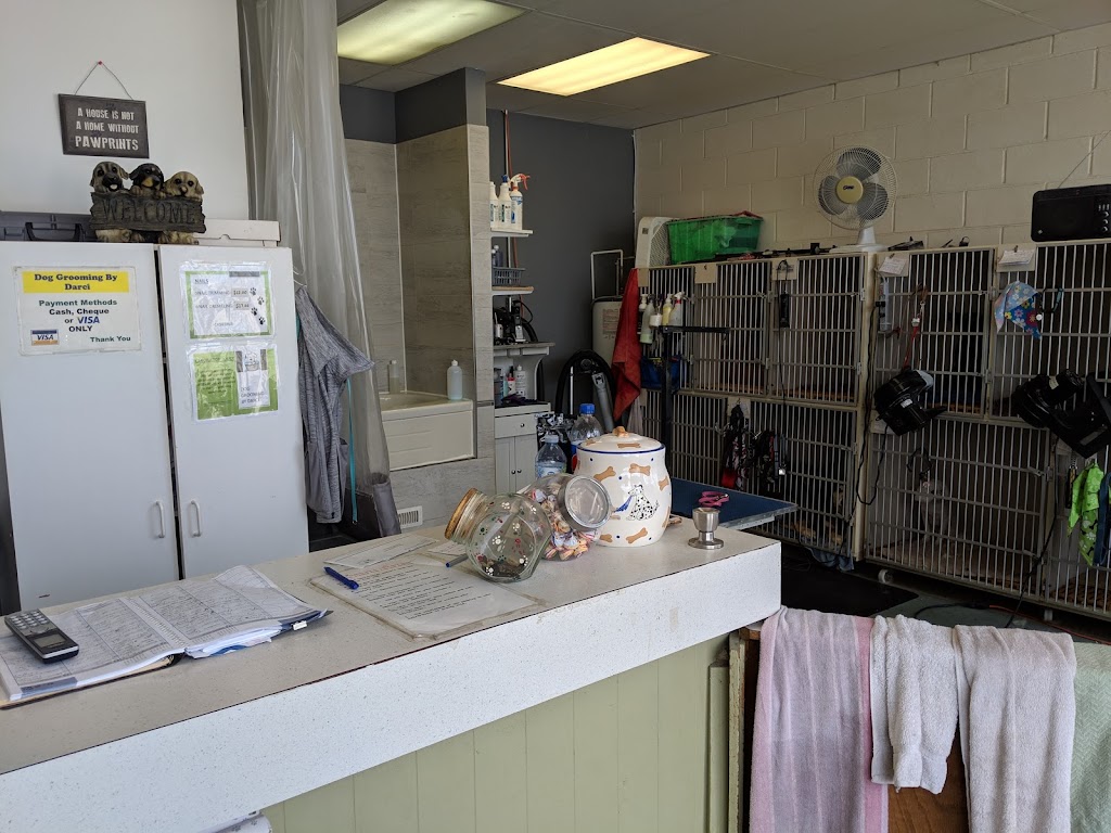 Dog Grooming by Darci | 684 Elizabeth Rd, Winnipeg, MB R2J 1A4, Canada | Phone: (204) 255-3611