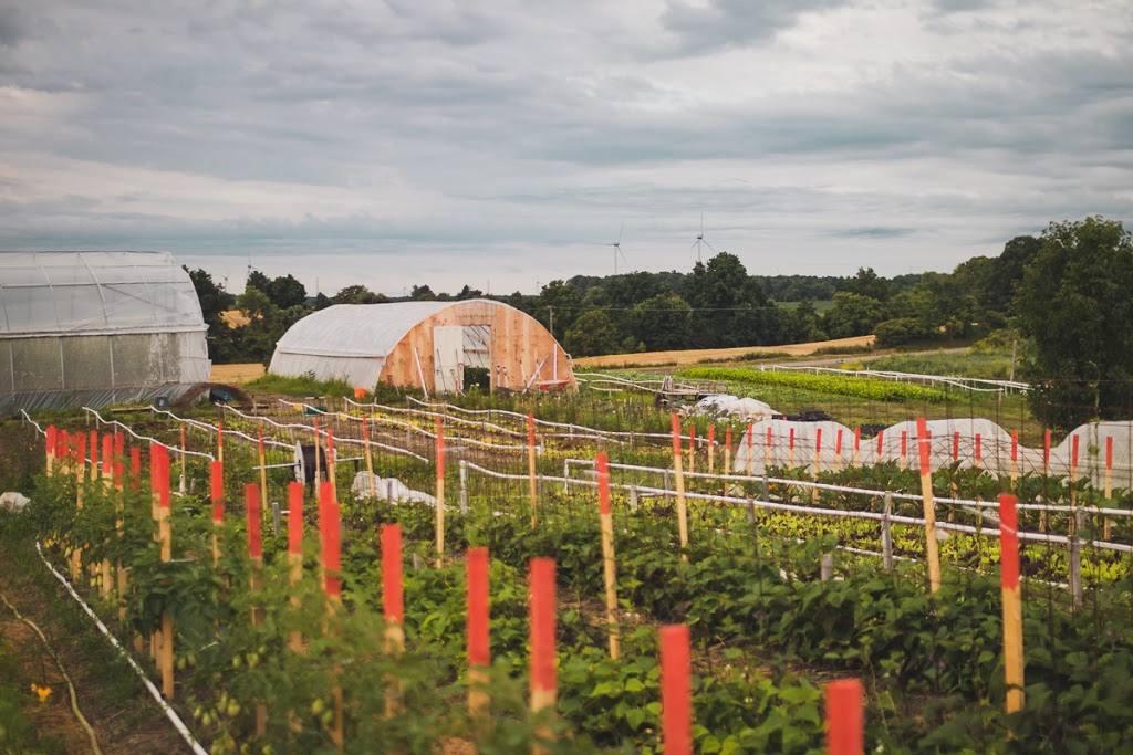 Mingle Hill Farms | 2625 Mountain Rd, Saint Anns, ON L0R 1Y0, Canada | Phone: (905) 745-4254