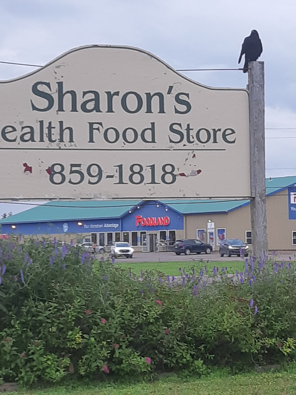 Sharons Health Food Store | 2228 Ohalloran Rd, Bloomfield, PE C0B 1E0, Canada | Phone: (902) 859-1818