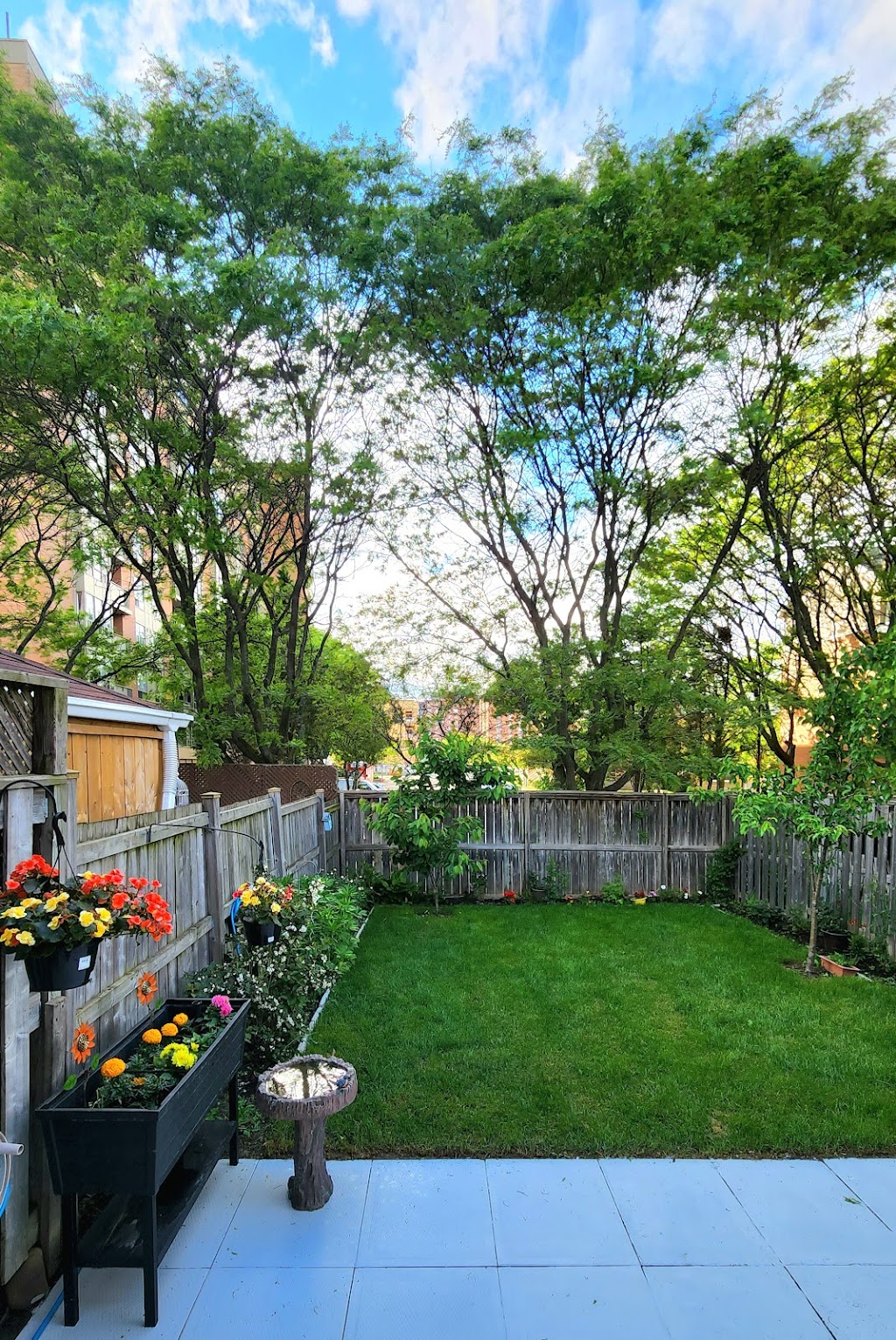 GREENER LAND | 40 Brookview Rd, Brampton, ON L6X 2V9, Canada | Phone: (647) 766-9906