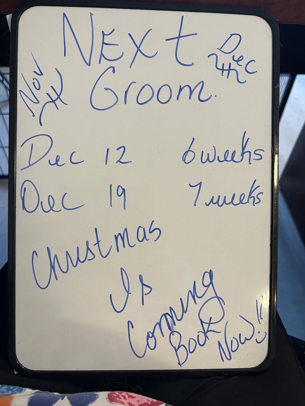 Yvonnes Grooming | 4660 Western Rd, Courtenay, BC V9N 3T2, Canada | Phone: (250) 207-0051