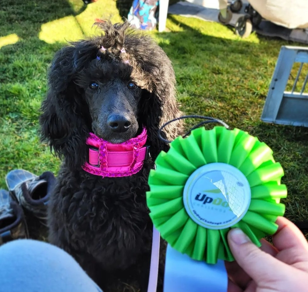 Balanced behavior canine | 1575 Graham Place, Ladysmith BC, V9G IKI, Ladysmith, BC V9G 1K1, Canada | Phone: (250) 618-7711