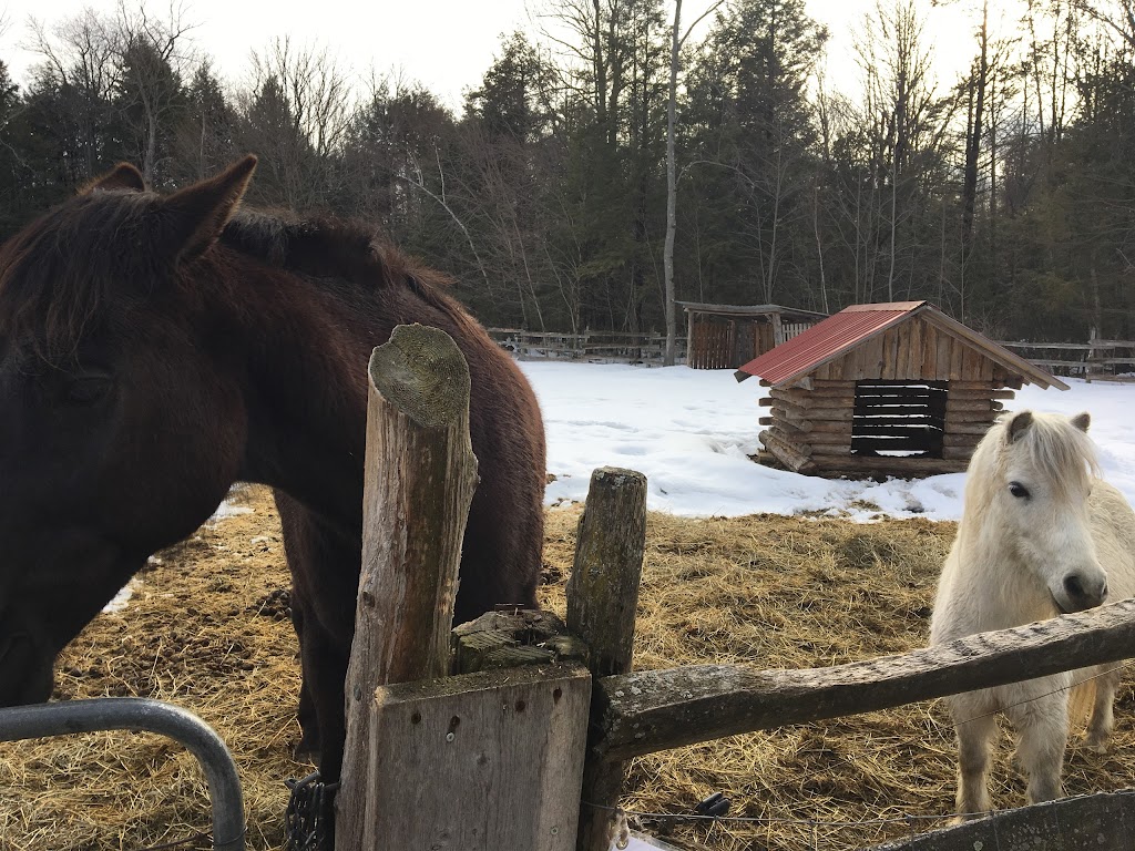 LÉrablière du Sanglier | 8405 Chemin St Jérusalem, Lachute, QC J8H 2C5, Canada | Phone: (450) 562-7932
