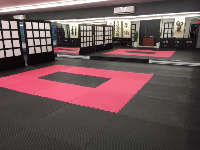 Dojo De Pintendre | 689 Route du Président-Kennedy, Pintendre, QC G6C 1E1, Canada | Phone: (418) 554-0198