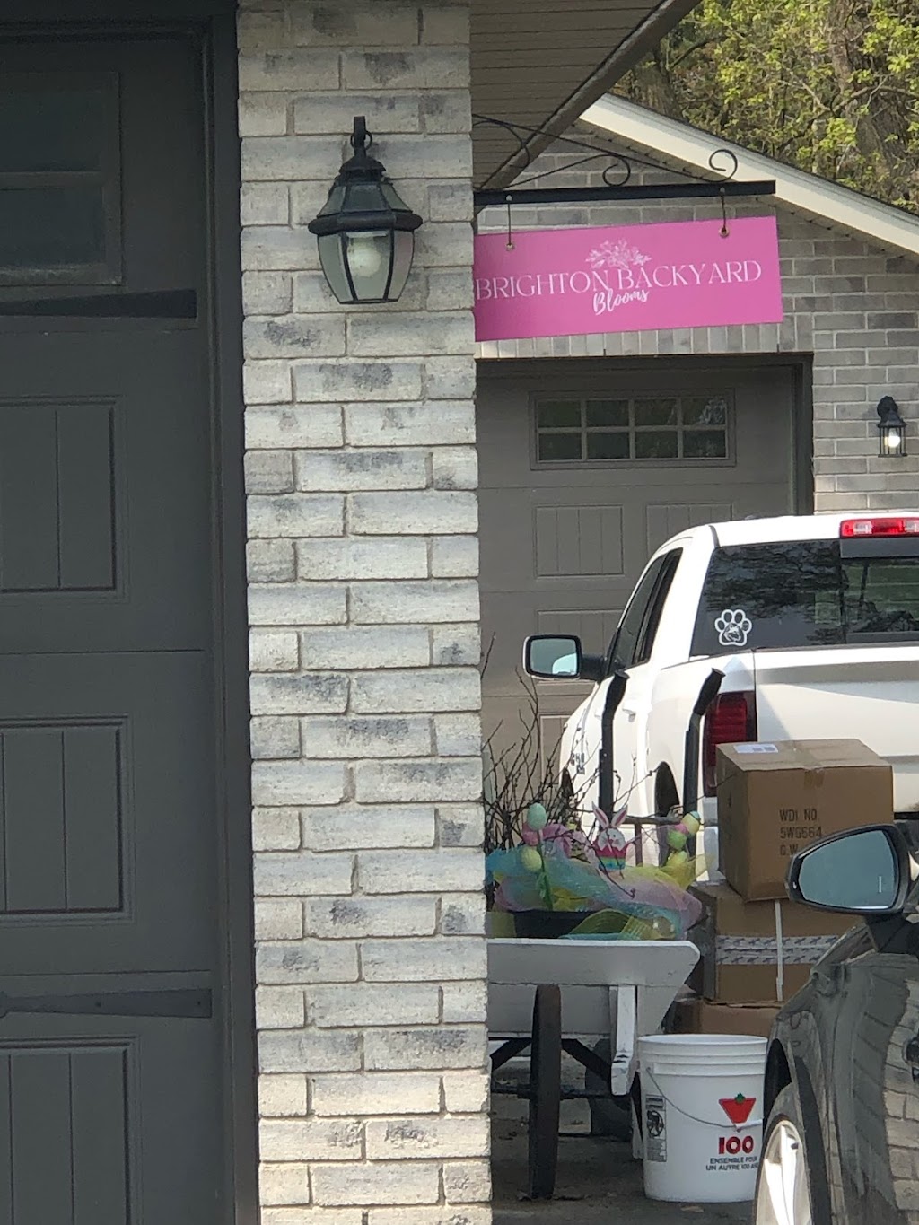 Brighton Backyard Blooms | 22 Walt St, Brighton, ON K0K 1H0, Canada | Phone: (905) 926-9372