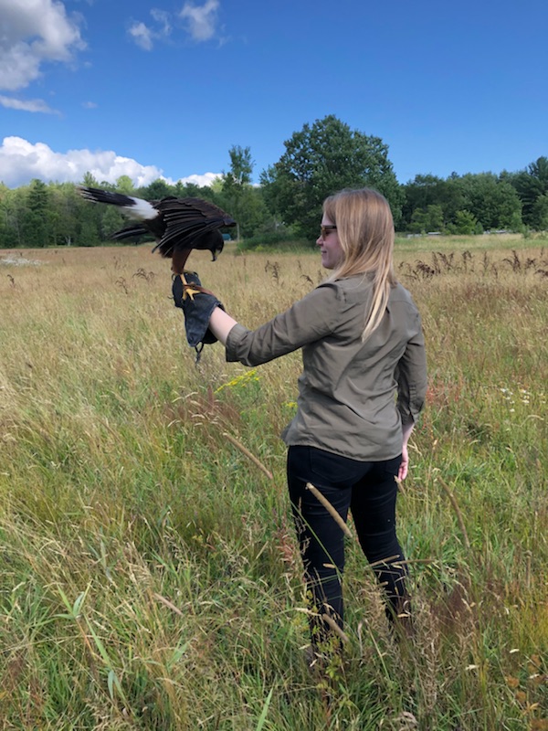 Muskoka Birds of Prey | 1563 Southwood Rd, Kilworthy, ON P0E 1G0, Canada | Phone: (705) 689-2229