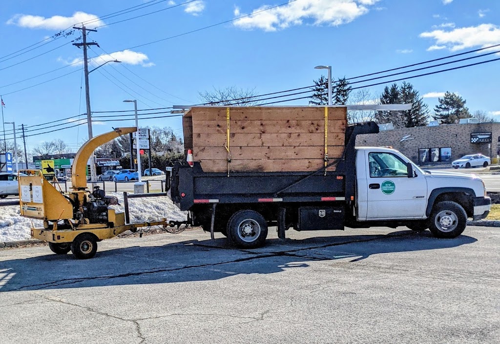 Independent Tree Care | 101 Brae Cres, Stittsville, ON K2S 1P1, Canada | Phone: (613) 720-0274