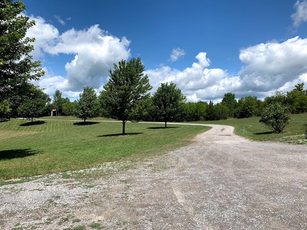 Gravel Hill Vineyards | 2J0, 567 Closson Rd, Hillier, ON K0K 2J0, Canada | Phone: (613) 399-1857