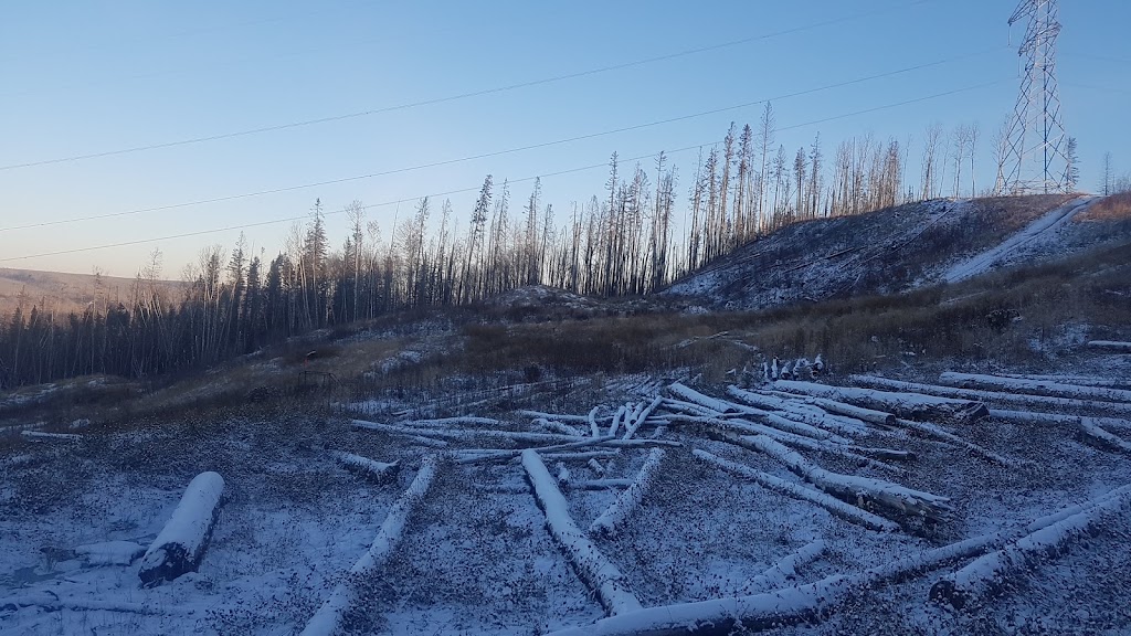 Northern Commercial Offroad Rentals | 110, 52442, Range Rd 220, Ardrossan, AB T8E 2H7, Canada | Phone: (780) 504-8274