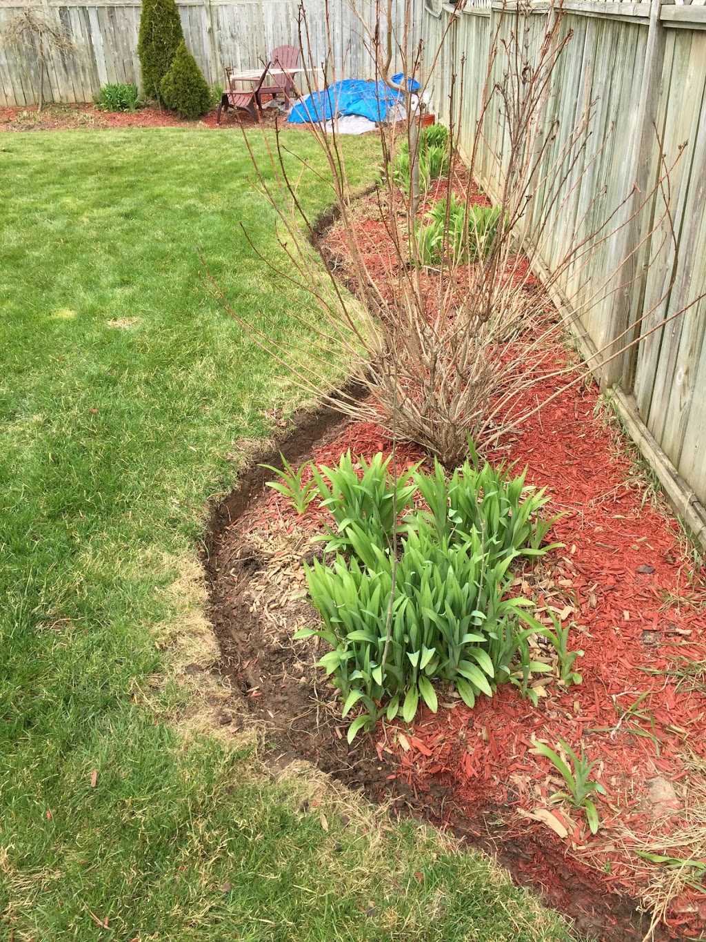 Zone Control "Property Maintenance" | 10 Dunkeld Ave, St. Catharines, ON L2M 4A5, Canada | Phone: (905) 380-3146