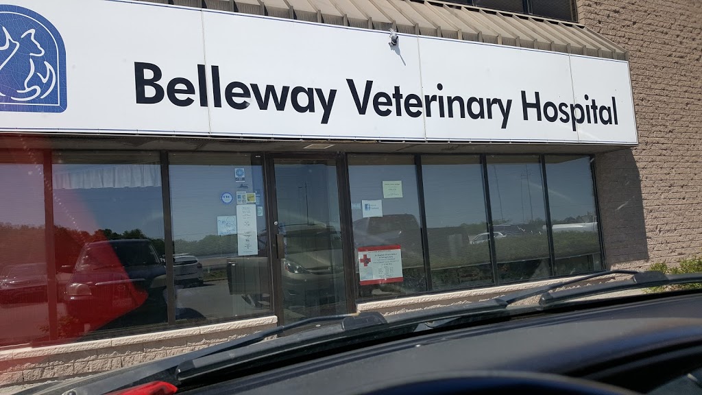 Belleway Veterinary Hospital | 6833 Highway 62 North, Belleville, ON K8N 4Z5, Canada | Phone: (613) 969-0537