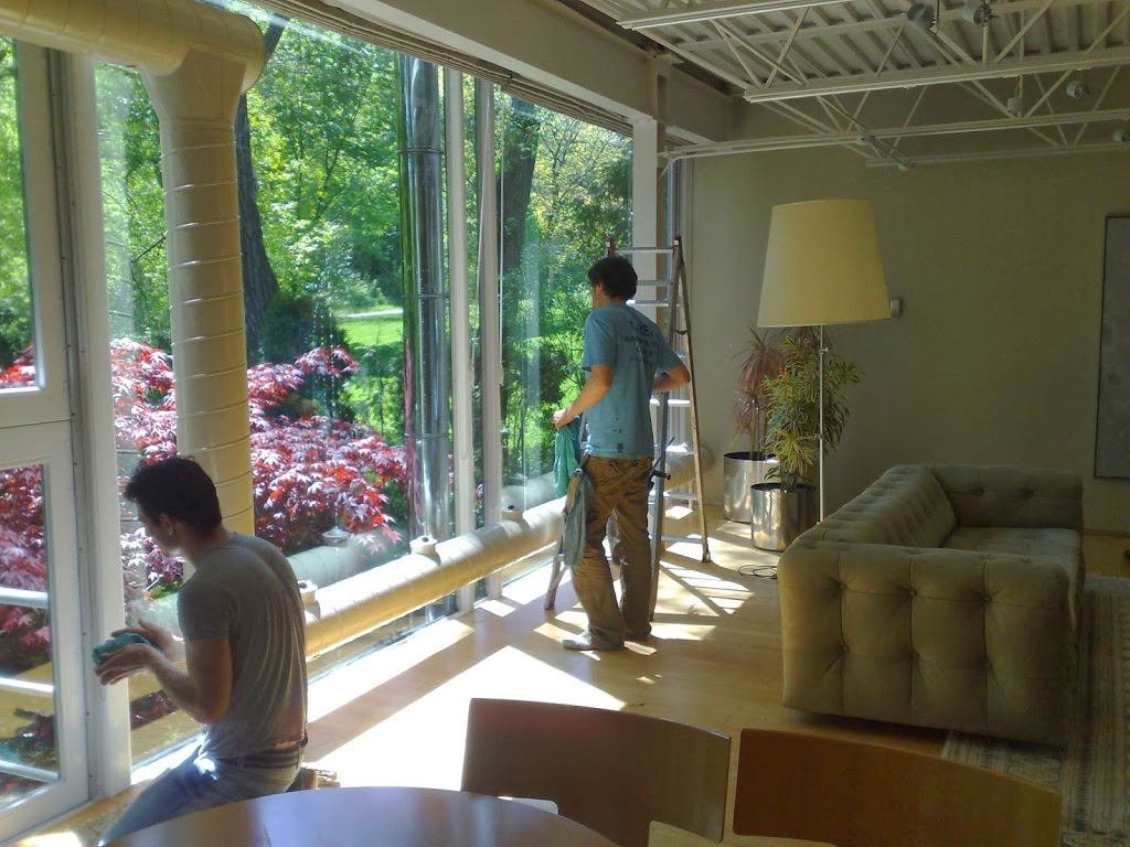 T-Rex Window And Eaves Cleaning Inc | 38 Kanarick Crescent, North York, ON M3L 1P4, Canada | Phone: (416) 531-8739