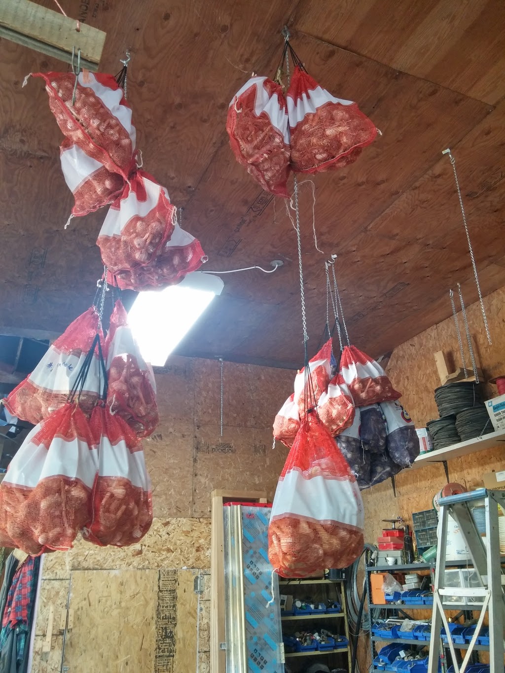 River Bell Organic Market Garden | 559 Sydenham St, Chatham-Kent, ON N0P 1M0, Canada | Phone: (519) 683-2052
