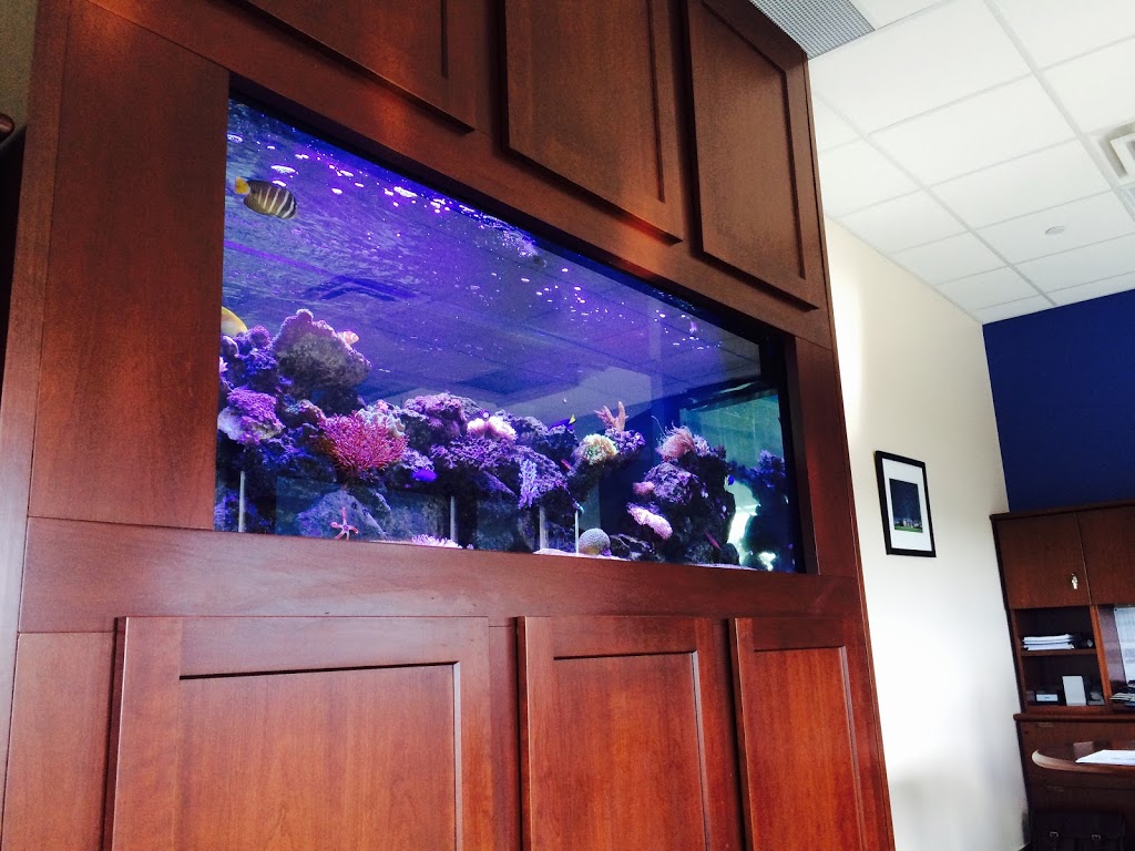 Canadian Marine Aquaculture | 945 Weston Rd, York, ON M6N 3R4, Canada | Phone: (647) 705-3523