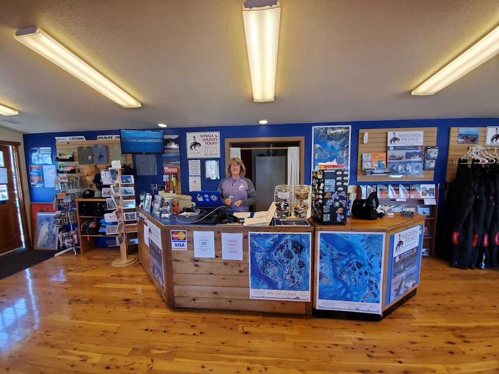 Western Prince Whale Watching | 1 Spring St Suite A, Friday Harbor, WA 98250, USA | Phone: (360) 378-5315