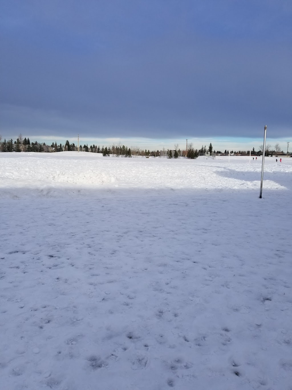 Roland Michener Elementary School | 5958 4 Ave NE, Calgary, AB T2A 4B1, Canada