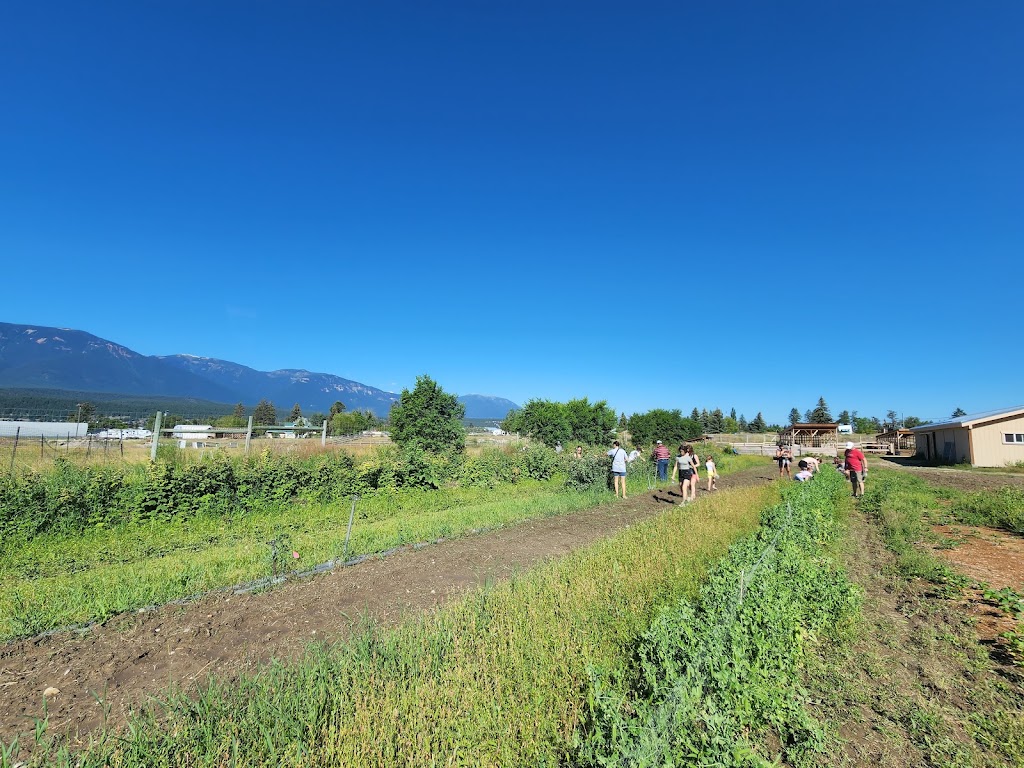 Serenity Farm | 4825 The Dell Rd, Windermere, BC V0B 2L2, Canada | Phone: (250) 341-5216