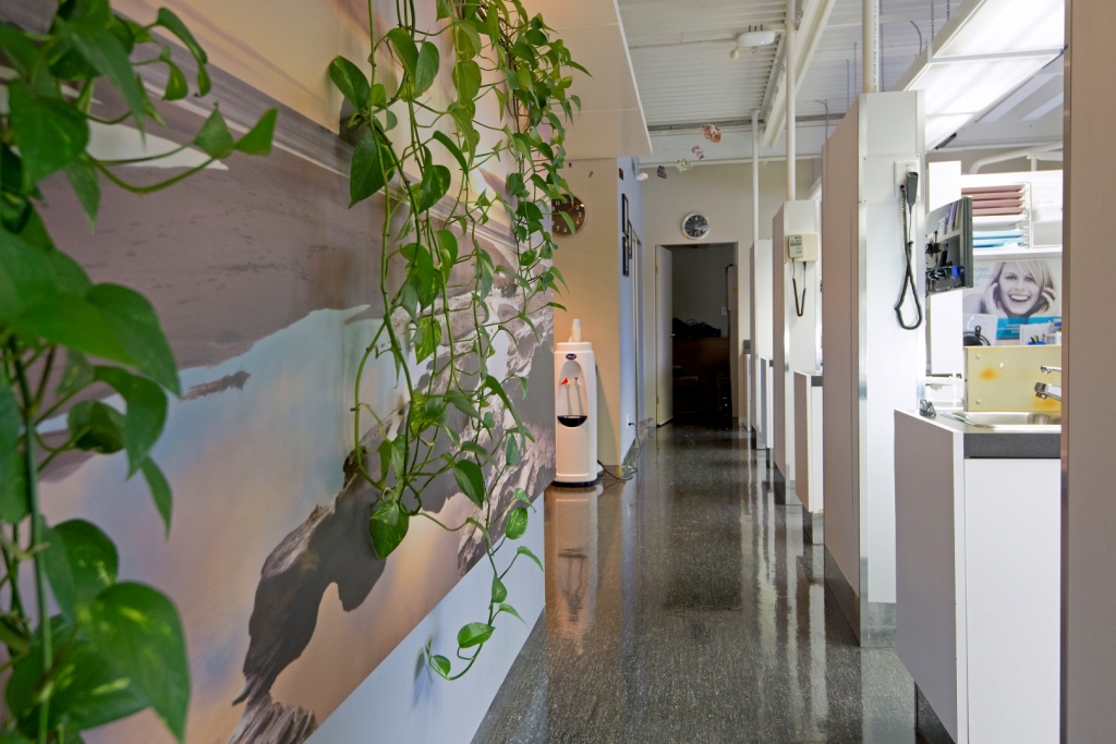 Austin Heights Dental | 1120 Austin Ave #201, Coquitlam, BC V3K 3P5, Canada | Phone: (604) 931-5550
